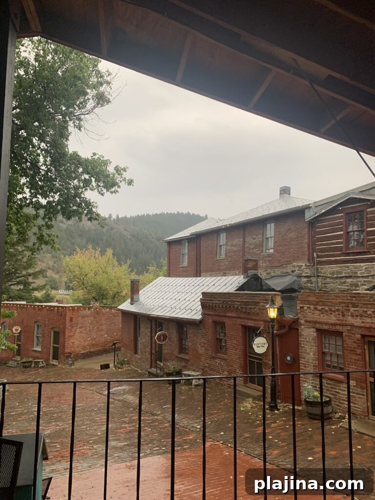img 137339 1