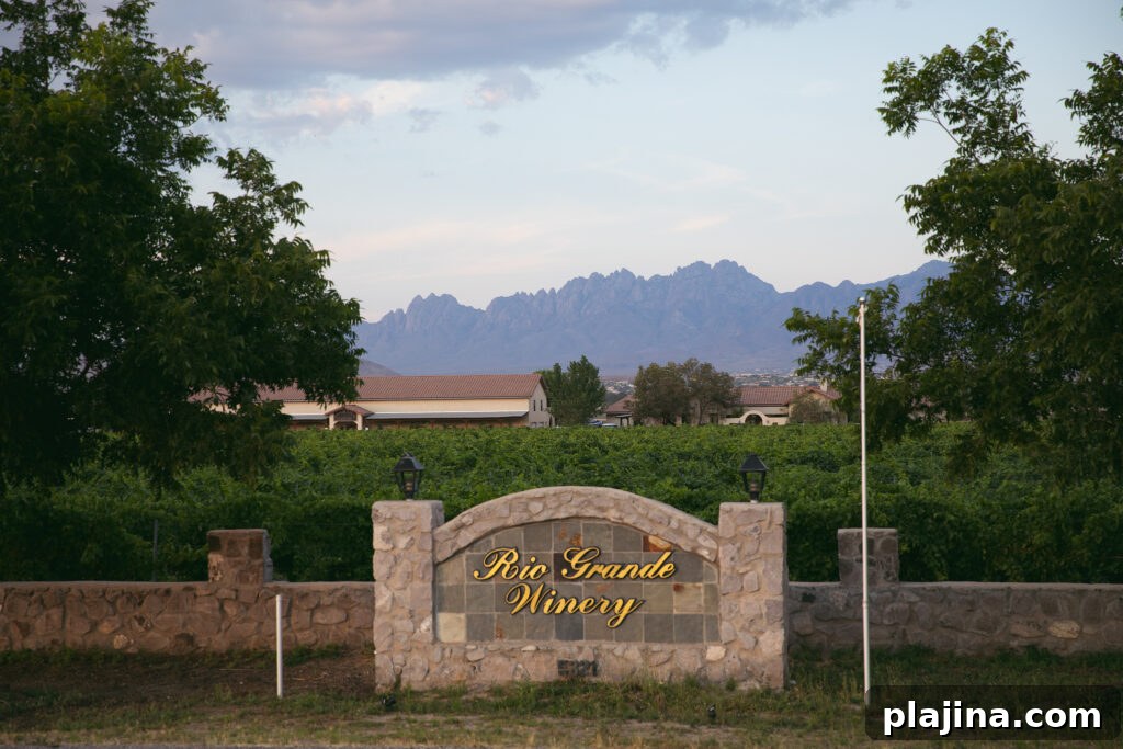 img 138468 1