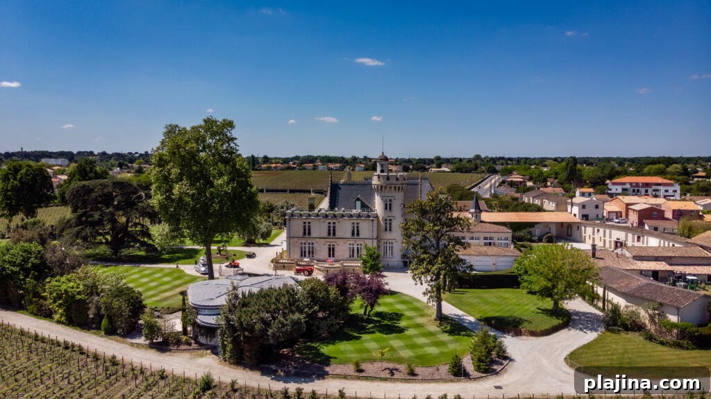 vineyard