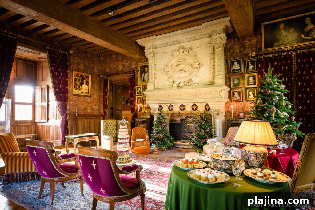 Azay le Rideau 