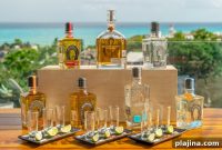 Luxury Solo Travel: Top Hyatt Experiences for Independent Travelers