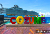 Millions of Passengers Pass Through the World’s Largest Cruise Ports