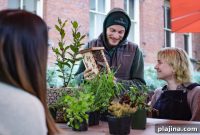 5 Hotels Revolutionize Hospitality with Regenerative Urban Farming and Vertical Gardens