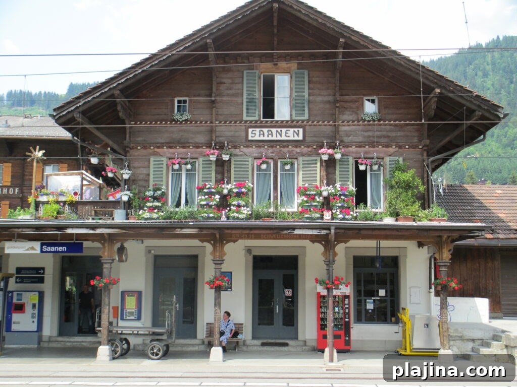 img 145121 1