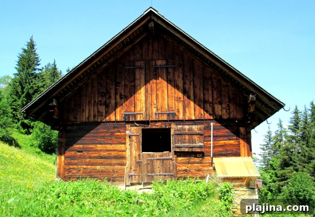 cabin 