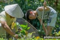 Sustainable Stays at Six Senses Resorts & Spas