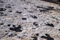 Experience Morrison, Colorado: Dinosaur Fossils and Prehistoric Sites