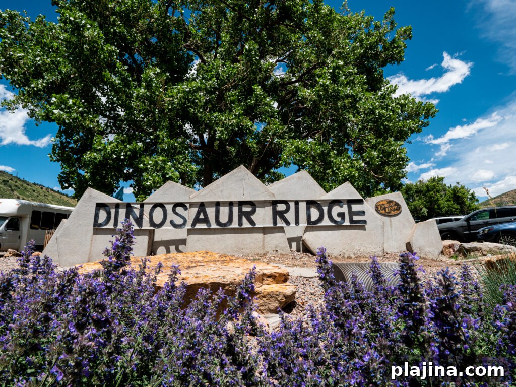 Dinosaur Ridge trail