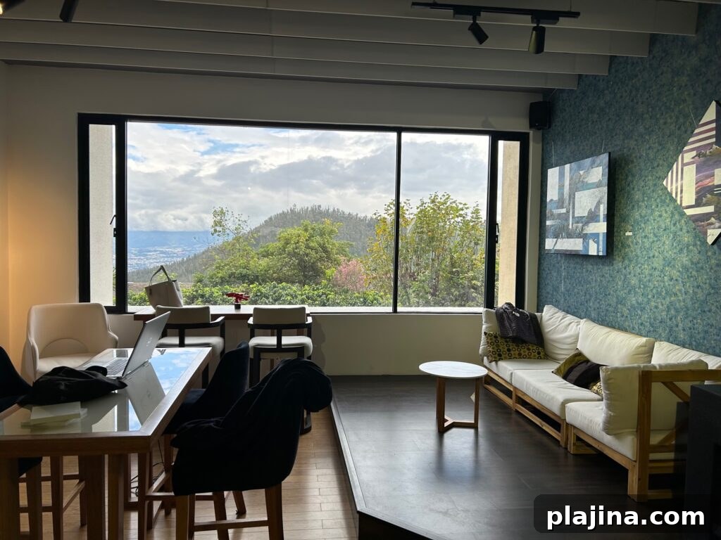 img 146749 2