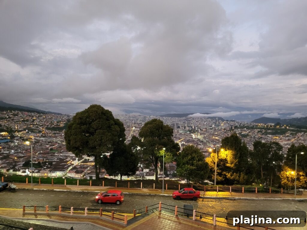 img 146749 3