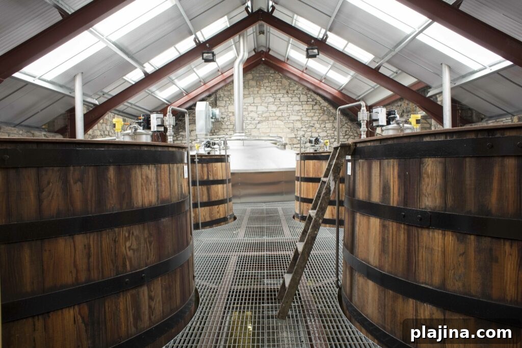 Inside Speyburn Distillery
