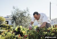 Rosewood Hotels & Resorts Unveils Ambitious Sustainability Plan