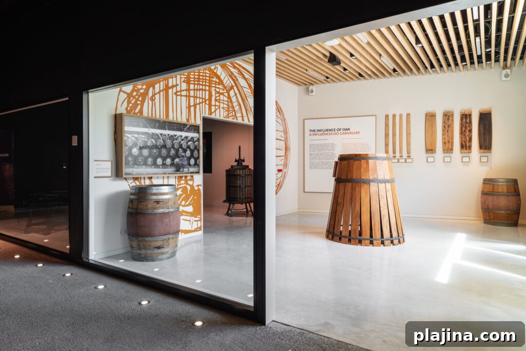 Wine tasting experience
