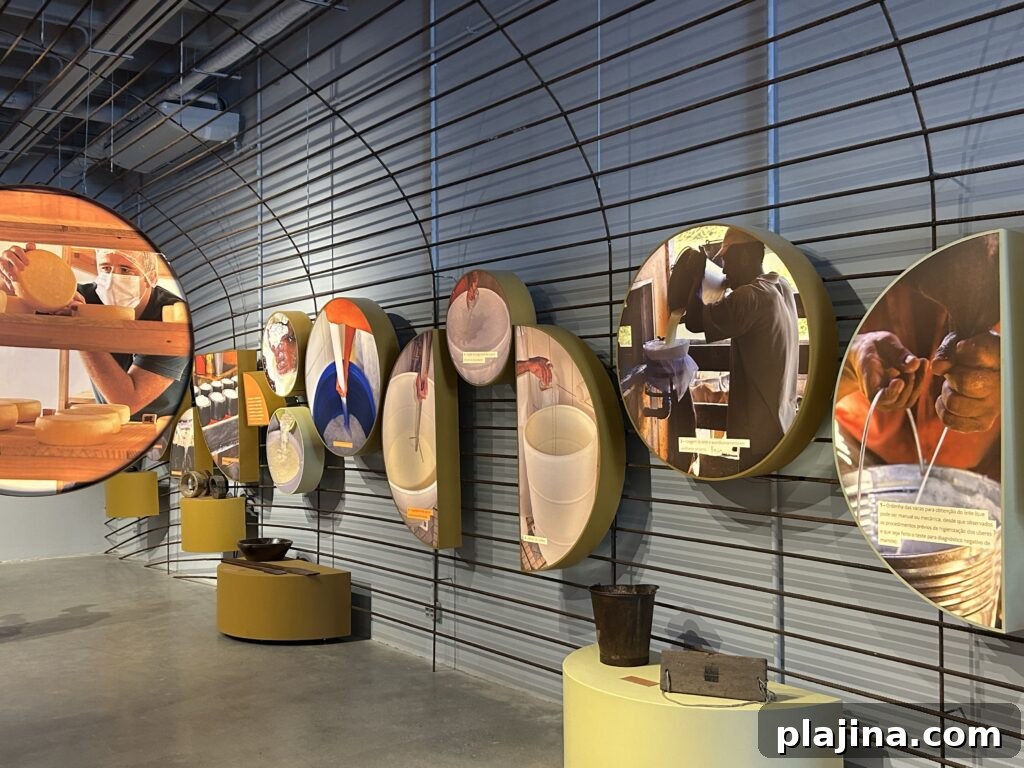 Exhibit details at a Belo Horizonte museum