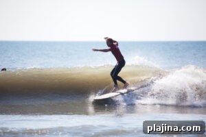 img 151760 2