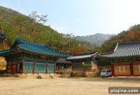 Seoulful Autumn: 4 Must-Visit Cities in South Korea