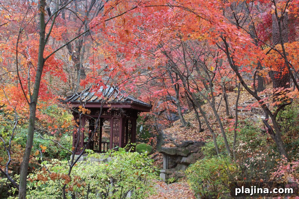Seoul