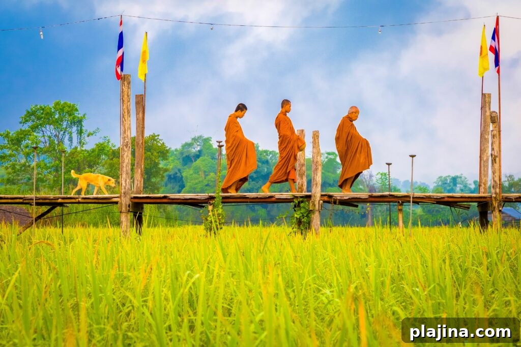 monks