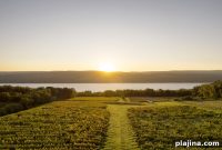 Top Late Harvest Wineries to Visit for Exceptional Sweet Wines