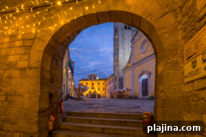 Motovun Magic on the Hill