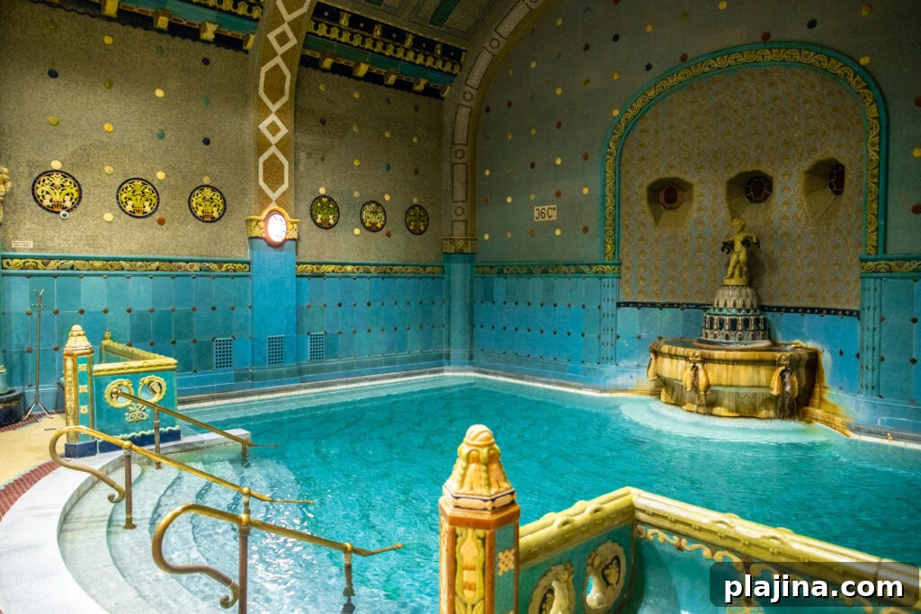 Gellert baths