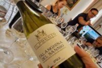 Surprise Discovery: Sannio, Campania’s Remarkable White Wine