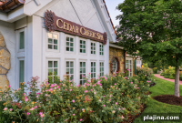 4 Wellness Retreats to Book for Your 2024 Travel List