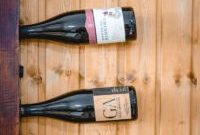 Portugal Wine Tasting Tours with Historic Sights and Local Flavors