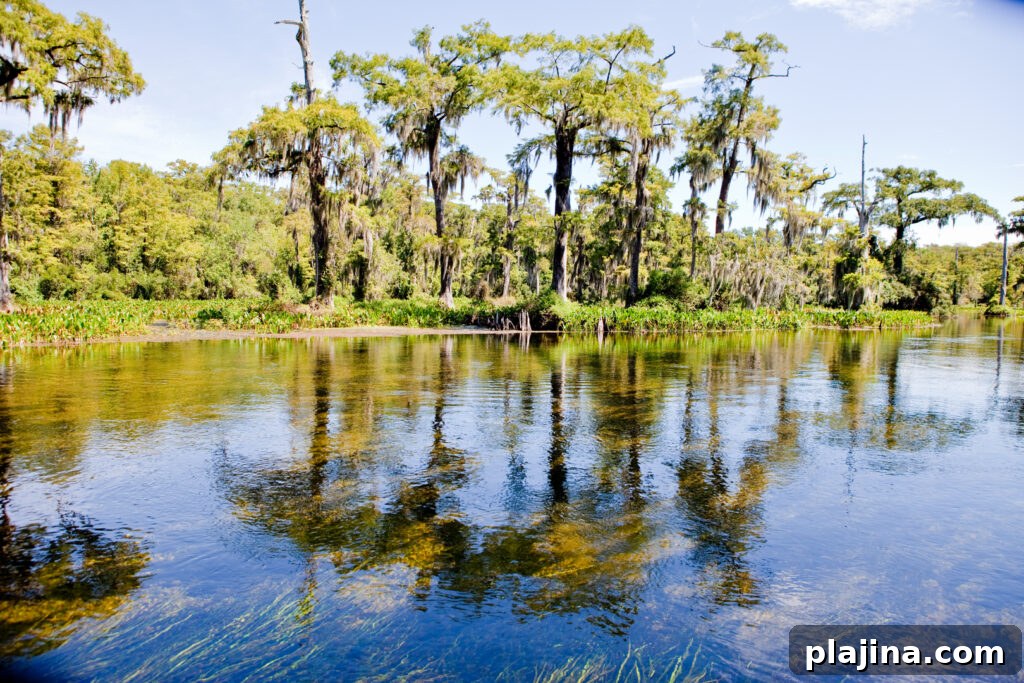 Wakulla Springs