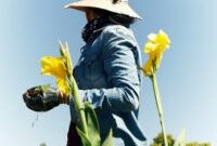 Todos Santos Boutique Hotel Showcases Farm-to-Table Dining Experience