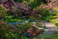Summer in Canada: Gardens Bursting with Color and Fragrant Blooms