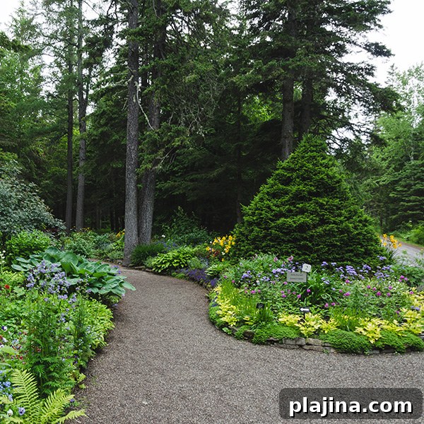 garden