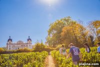 4 Destinations Where You Can Join the Dinner Party Travel Trend