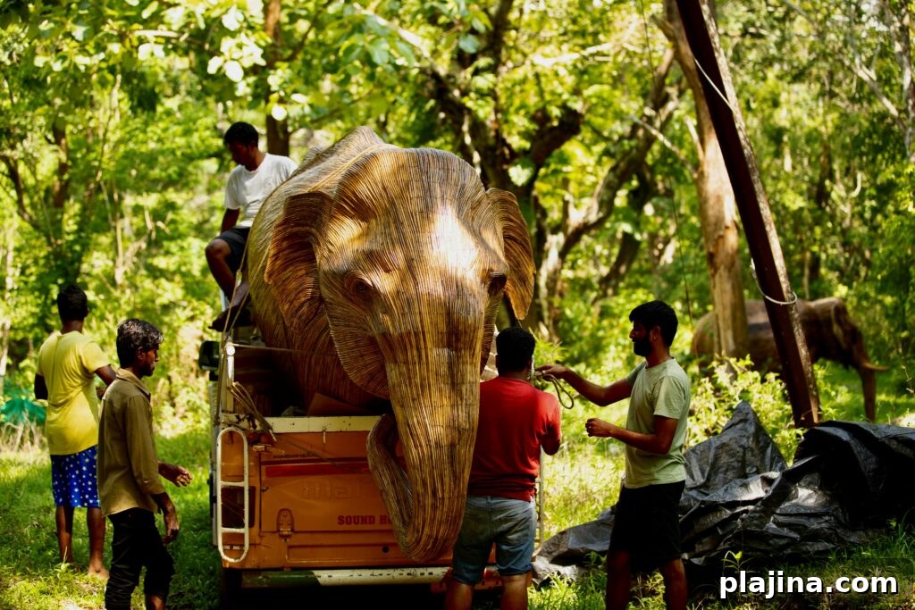 elephant