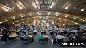 Conference at Corferias