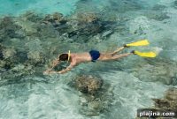 Tahiti Island-Hopping Cruise: Discover Pristine Beaches & Culture