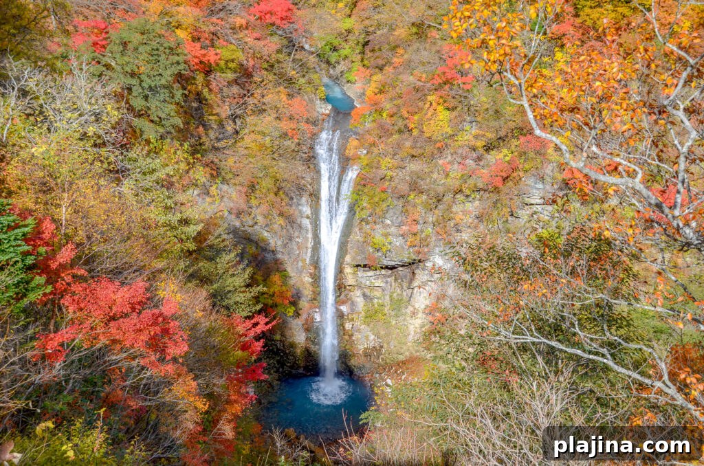 Nasu