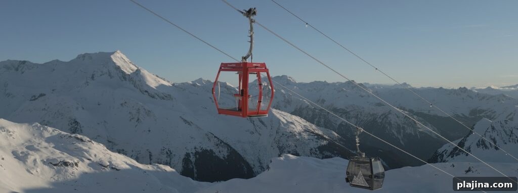 img 164568 1