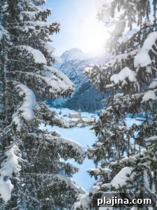 La Plagne
