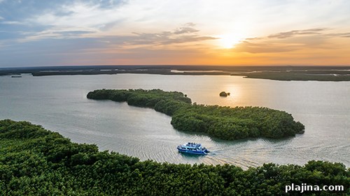 Paradisus by Meliá