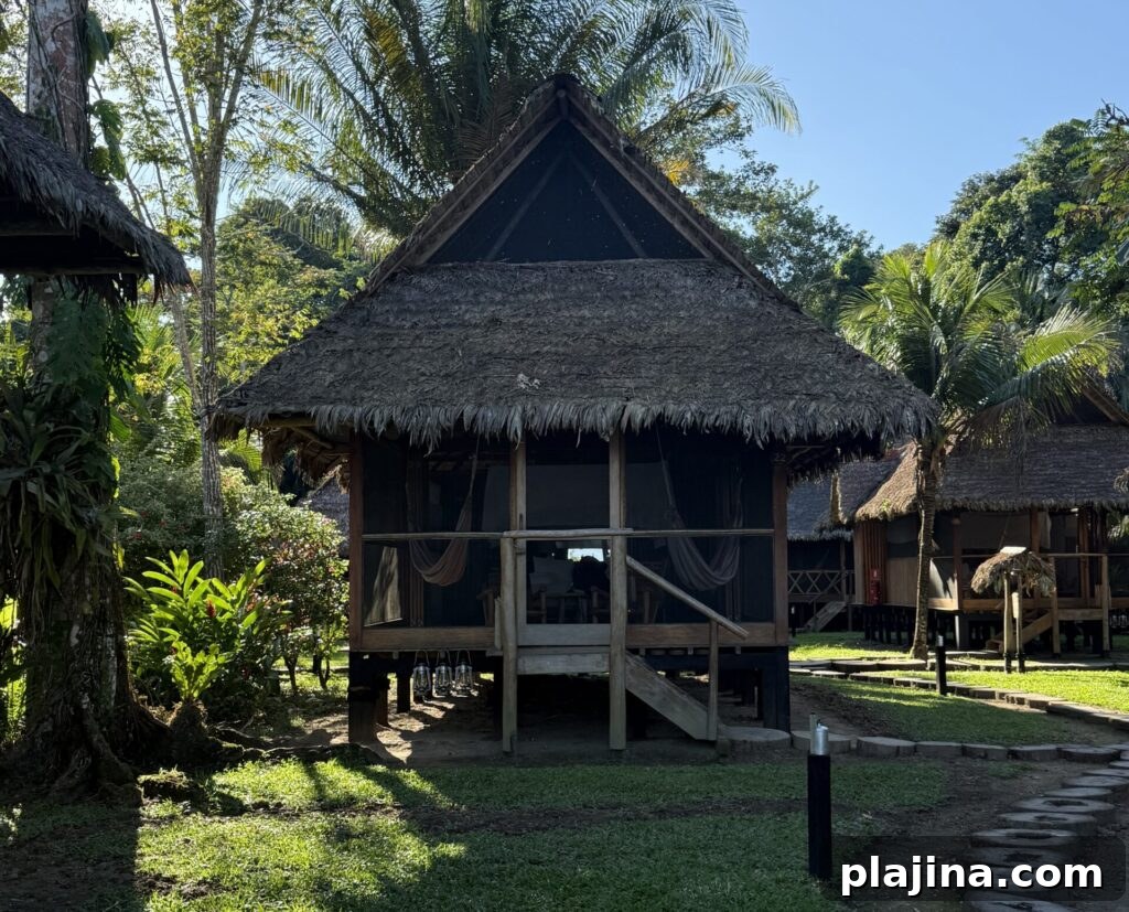 Reserva Amazonica exterior