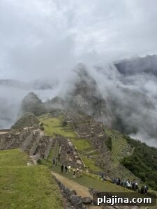 img 173940 1
