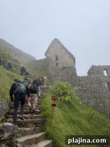 Visitor at Machu Picchu