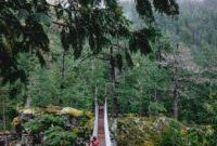 Family Wilderness Adventures: How to Plan Outdoor Trips with Kids