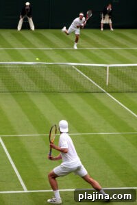 img 174739 1