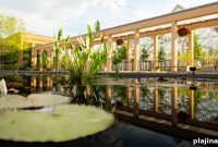 Waterlily Court Returns to Longwood Gardens After Three-Year Hiatus