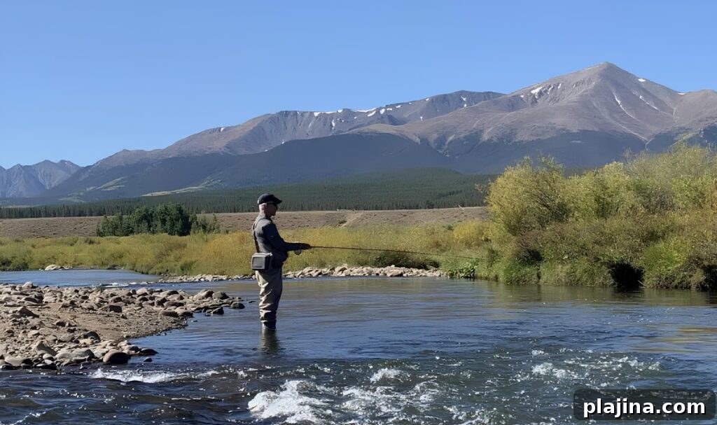 fly fishing