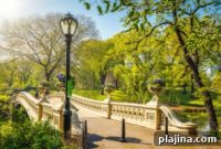 Explore Nature in the World’s Most Remarkable City Parks