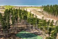 6 US Open–Inspired Hotels for Tennis Fans to Stay Near the Action