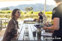Savoring Sauvignon Blanc in New Zealand’s Famous Wine Region